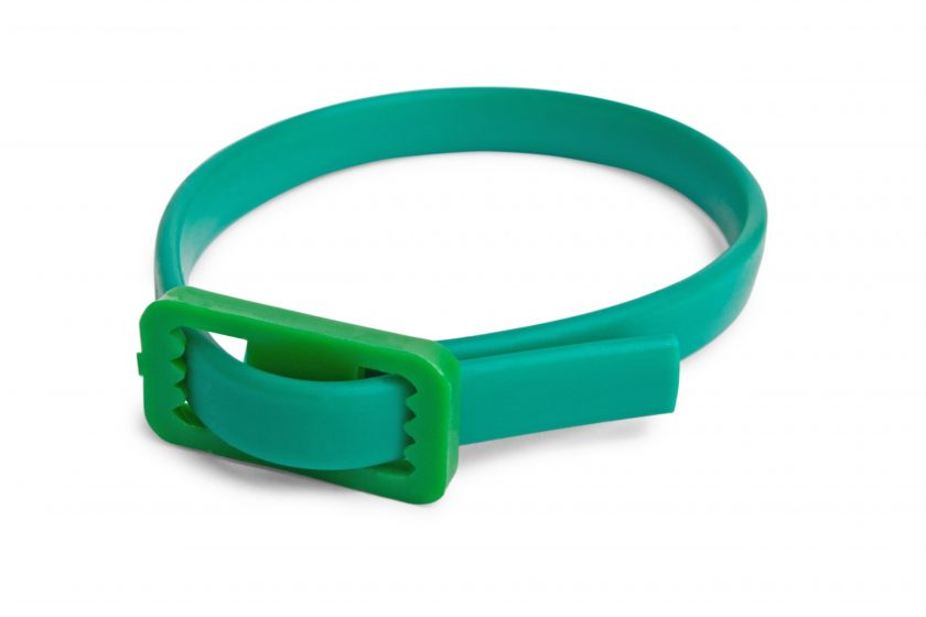 Flea Cures Find the cure to your pet's fleas!