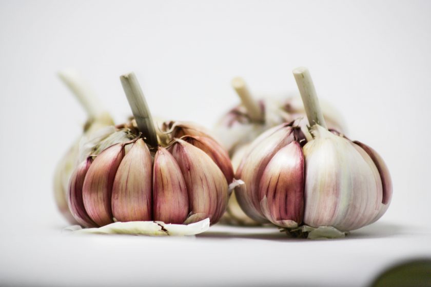 Knoblauch für Flöhe_fleacures