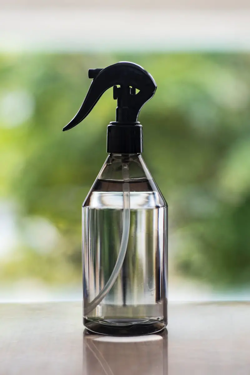 recette de spray anti-puces à l'huile de cèdre