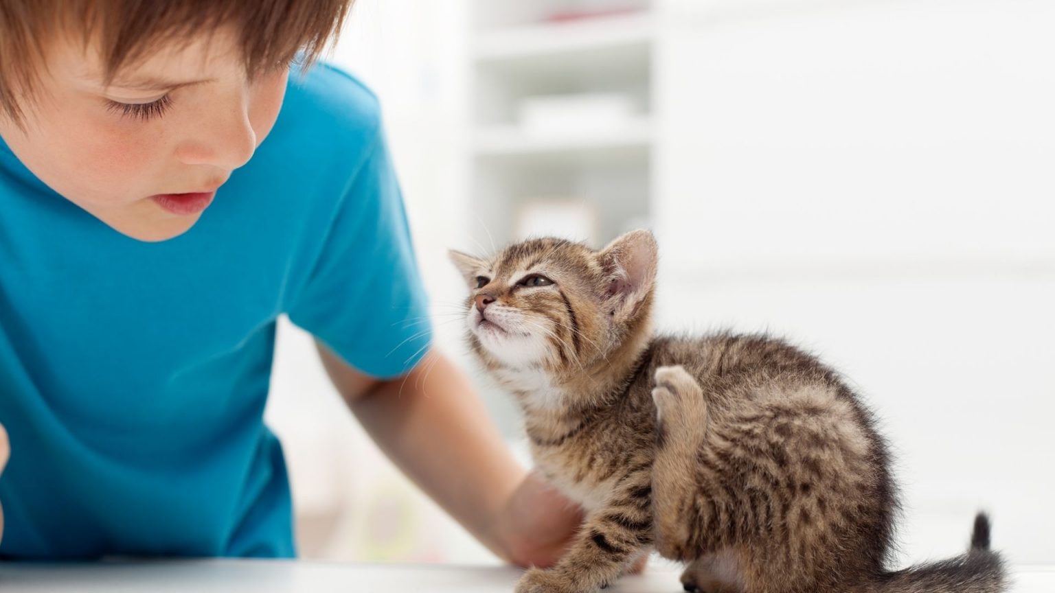 Why Do Fleas Bite Me And No One Else? Flea Cures