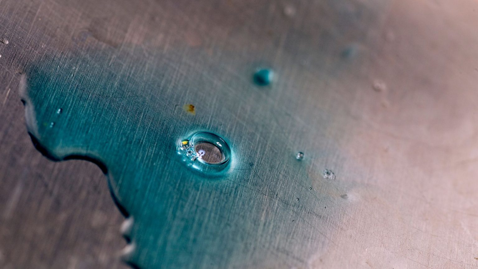 Dawn and Vinegar Fleas Does Vinegar and Dawn Kill Fleas?